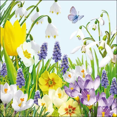 Produktbild von Servietten Papier 33x33cm 3-lagig mit Blumenwiese Motiv 20 Stk.