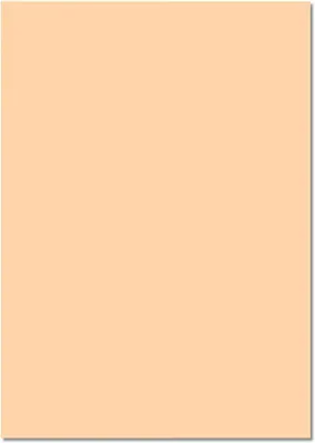Produktbild von folia 61/25 10 Fotokarton 300g/m², 50x70cm chamois 25 Stück