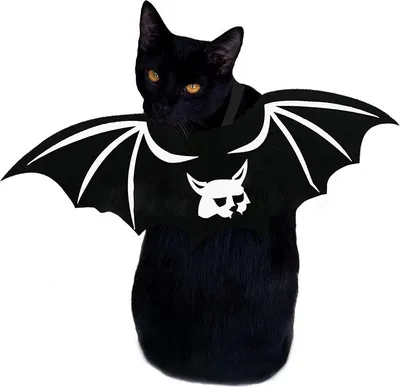 Produktbild von Halloween-Fledermaus-Kostüm für Haustiere „Wicked Wings – Grauenhaft-hübsches Haustierkleid“