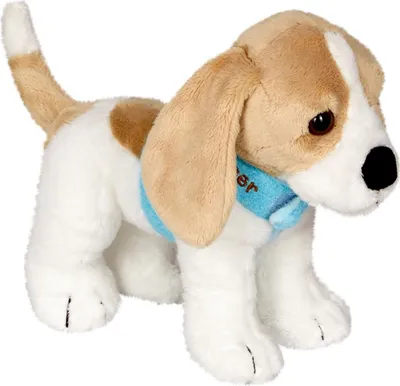 Produktbild von Coppenrath Verlag GmbH & Co.KG Beagle Cooper - Lustige Tierparade 1