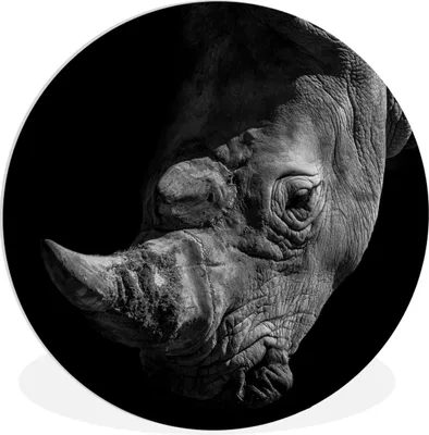 Produktbild von MuchoWow® Rundes Wandbild - Runde Bilder Rhinozeros - Tier - Schwarz - Weiß Ø 30 cm Kreis Wanddekoration Kunststoff - Wandkreis - Wandschmuck - Schlafzimmer - Bilder - Der Kreis - Kunst für die Wohnung - Plastik - Kunstdruck - Wandbild