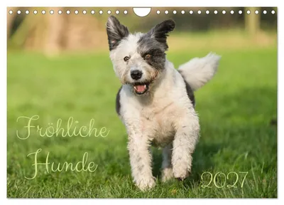 Produktbild von Fröhliche Hunde (Wandkalender 2027 DIN A4 quer), CALVENDO Monatskalender
