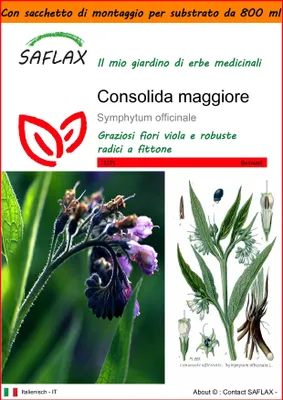 Immagine prodotto di SAFLAX Garden in the bag - Consolida maggiore - 15 semi - Symphytum