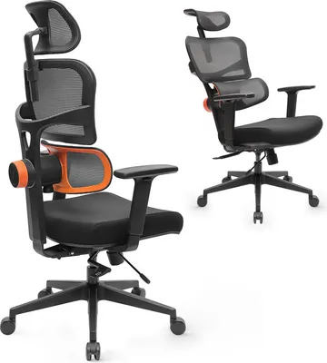Image de (version standard) Chaise de bureau ergonomique avec repose-pieds, chaise de bureau avec dossier haut et soutien lombaire réglable unique, chaise de bureau avec accoudoirs 4D