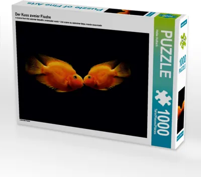 Produktbild von Calvendo Der Kuss zweier Fische 1000 Teile Puzzle quer 640x480mm, Hultsch Heike; 7294932