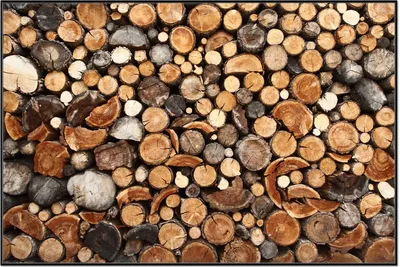 Produktbild von Wallario Wandbild Dunkler Holzstapel rund, Größe: 61 x 91,50 cm, Poster mit schwarzem Aluminiumrahmen