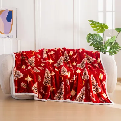 Produktbild von Baumwolle world Kuscheldecke Weihnachtlich mit Sherpa Rot 160x200