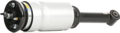 Produktbild von RIDEX 4118A0011 Luftfederbein Stoßdämpfer Vorne für LAND ROVER Range Rover Sport (L320) Discovery IV (L319) Discovery III (L319)