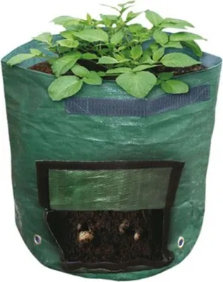 Image de Sac de plantation de pommes de terre Sac de plantation Poche de plantation Bac de plantation de balcon