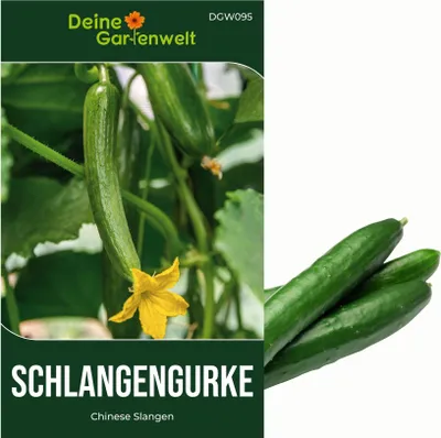 Produktbild von Freilandsalatgurke Chinese Slangen Samen - Cucumis sativus - Gurkesamen - Gemüsesamen - Saatgut für 10 Pflanzen