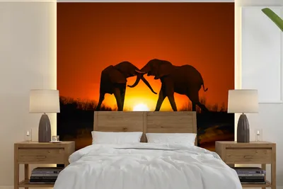 Produktbild von Fotobanner Olifanten Szene bei Sonnenuntergang, 220 cm x 220 cm, Wanddeko