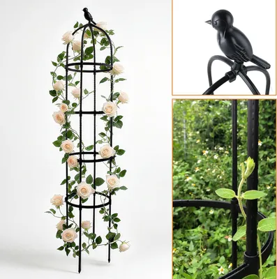 Image de Obélisque de jardin, 175 cm, support métallique pour plantes grimpantes, 33 cm, noir, pour plantes grimpantes