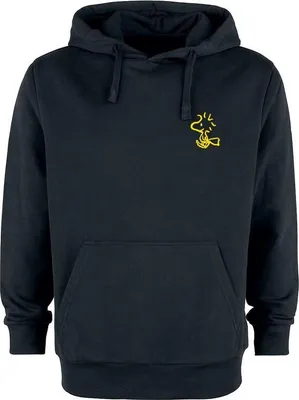 Produktbild von Peanuts Kapuzenpullover Herren Peanuts - Family schwarz XL