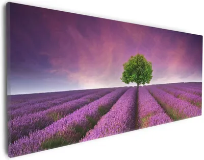 Produktbild von Wallario Premium Leinwandbild Lila Blumenfeld in Größe 30 x 75 cm