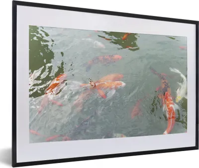 Produktbild von MuchoWow® Gerahmtes Poster Eine Gruppe von Koi-Karpfen in einem Teich 60x40 cm - Poster mit Schwarzem Bilderrahmen Wandposter Rahmen Foto Bilder - Schlafzimmer - Plakat in Rahmen - Drucken