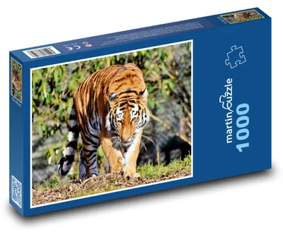 Obrázek produktu pro Puzzle 1000 Tygr v divočině - martinpuzzle