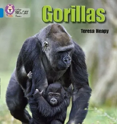 Produktbild von Gorillas