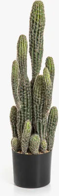 Produktbild von artplants.de Kunst Kaktus San Pedro Farin, grün, 75cm - Künstliche Kakteen