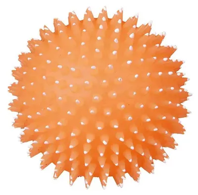 Obrázek produktu pro TRIXIE Hedgehog Ball, Pes, Míč, Vinyl, 10 cm