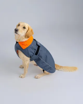 Immagine prodotto di DRYROBE Dog Coat Cappotto per cani Grigio Arancione M
