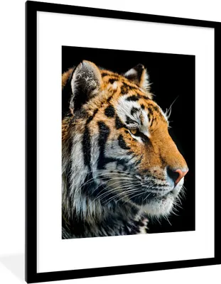 Produktbild von MuchoWow® Gerahmtes Poster Tiger - Kopf - Schwarz 60x80 cm - Poster mit Schwarzem Bilderrahmen Wandposter Rahmen Foto Bilder - Wohnzimmer - Dekorationen - Prämie