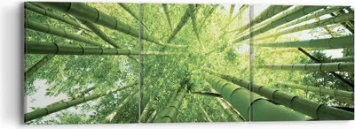 Produktbild von Bild auf Leinwand - Leinwandbild - 3 Teile - Bambus Dschungel Grün - 90x30cm - Wand Bild - Wanddeko - Wandbilder - Leinwanddruck - Bilder - Wanddekoration - Leinwand bilder - Wandbild - CA90x30-4235