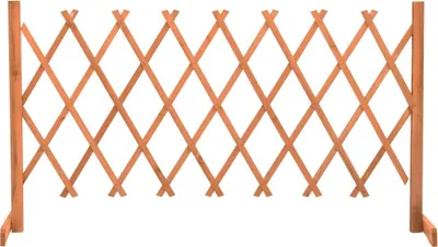 Produktbild von Garten-Rankzaun Orange 150x80 cm Massivholz Tanne