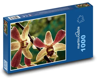 Obrázek produktu pro Puzzle 1000 Orchidej ve květu - martinpuzzle