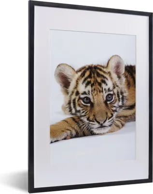 Produktbild von MuchoWow® MuchoWow® Gerahmtes Poster Tiger - Jungtier - Wildtier 30x40 cm - Poster mit zchwarzem Bilderrahmen - Wandposter Schlafzimmer