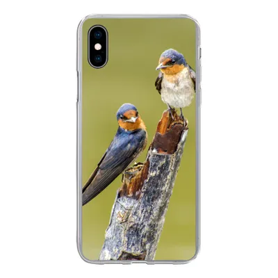 Produktbild von MuchoWow® Handyhülle Schutzhülle Hülle für iPhone Xs Vögel - Zweig - Porträt Silikon Softcase Handy Hülle - Handytasche