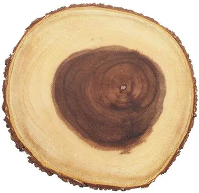 Produktbild von Ibenzoa® Runde Servierplatte aus Akazienholz mit natürlicher Rindenkante, Ø 25 cm – rustikales Servier- & Käsebrett, lebensmittelsichere Oberfläche