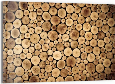 Produktbild von DEQORI Glasbild Echtglas 90x60 cm 'Harmonisches Holzmeer' Wandbild Bild modern Deko