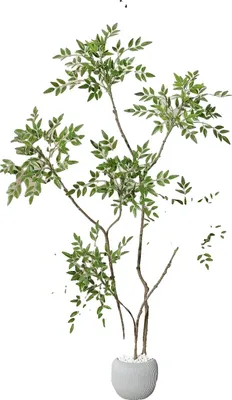 Zdjęcie produktu dla Sztuczne drzewo, sztuczna roślina, realistyczne liście, 150 cm