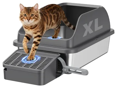Image de Litière pour chat Zivacate en acier inoxydable (grande taille, 60 x 40 cm) – bac à litière pour chat