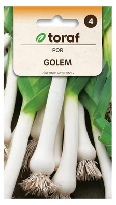 Obrázek produktu pro Autor: GOLEM 1g