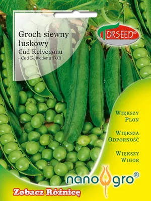 Produktbild von Saatgut Erbsenschale.o nas.pomar. Kelvedon Wunder NANO- Torseed