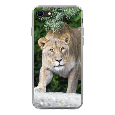 Produktbild von MuchoWow® Handyhülle Schutzhülle Hülle für iPhone 8 Löwinnen - Wilde Tiere - Jagd Silikon Softcase Handy Hülle - Schutzhaube