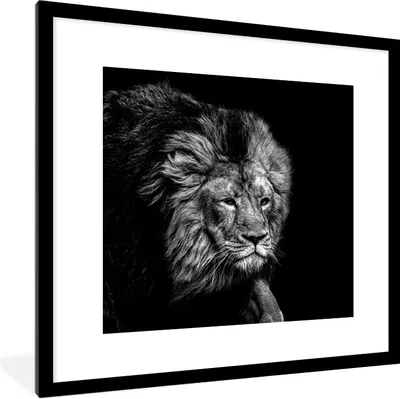 Produktbild von MuchoWow® Gerahmtes Poster Löwe - Tiere - Schwarz - Weiß 40x40 cm - Poster mit Schwarzem Bilderrahmen Wandposter Rahmen Foto Bilder - Poster - Plakat im Rahmen