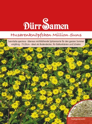 Produktbild von Husarenknöpfchen Million Suns | Husarenknöpfchensamen von Dürr Samen