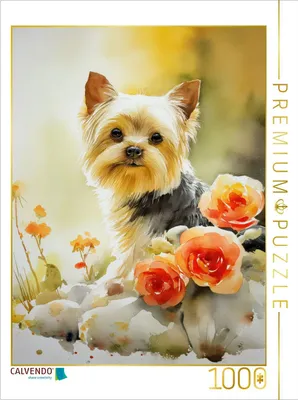Produktbild von CALVENDO Puzzle Yorkshire Terrier | 1000 Teile Lege-Größe 64x48cm Foto-Puzzle für glückliche Stunden