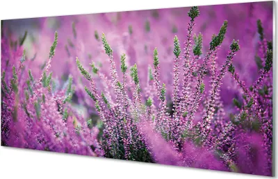 Imagen del producto de Cuadros de vidrio, 100x50 cm, arte mural, motivos de brezos
