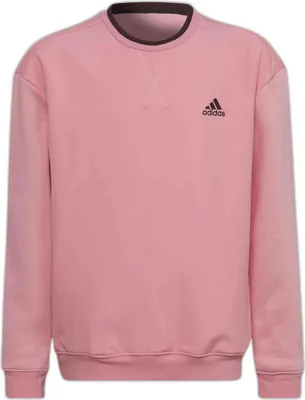 Image de Sweatshirt Adidas HN8421 pour Enfant