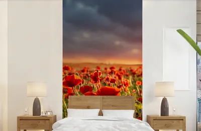 Produktbild von MuchoWow® Fototapete für Wohnzimmer oder Schlafzimmer Wandtapete Vinyl Motivtapete Sonnenuntergang über einem Feld von Mohnblumen - 120x240 cm - Hintergrundbild