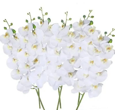 Productafbeelding van Famanu Kunstbloemen Phalaenopsis, 6 stuks, wit met een lichtgele tint - Kunstorchideeën voor woondecoratie