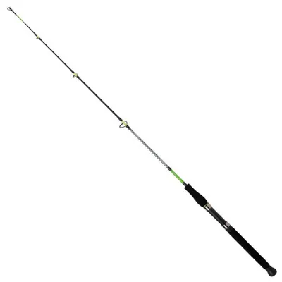 Image de Daiwa Sensor Boat 100-200 g, 2,40 m