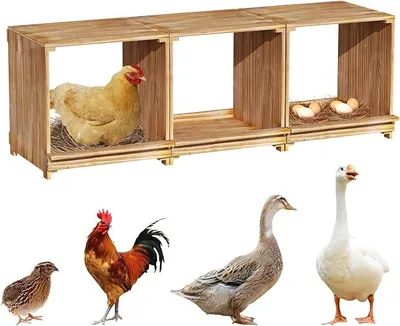 Produktbild von Legenest Holz Hühnernistkästen, große Legenest mit 3 Nistboxen für Hühner und Enten 105 x 36 x 35 cm, Naturholz