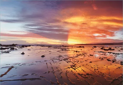 Produktbild von Wallario Fototapete Vliestapete, seidenmatte Oberfläche, einfache Verarbeitung, Größe 350 x 245 cm, Motiv Wattwanderung am Meer bei Sonnenuntergang