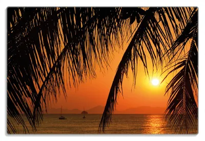Produktbild von Wallario Frühstücksbrettchen aus Glas 20 x 30 cm mit rutschfesten Füßen, Motiv Sonnenuntergang unter Palmenblättern