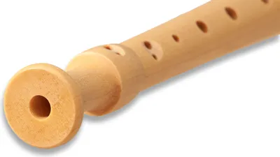 Produktbild von Mollenhauer Blockflöte 17313 Fipple Dege Sopranblockflöte in c", se...