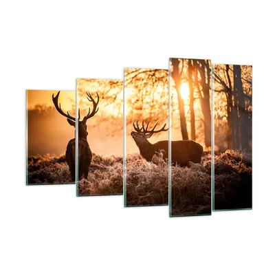 Produktbild von Bilder auf glas - Deer Heidekraut Tier - 150x100cm - Glasbilder - Wandbilder - Kunstdruck - zum Aufhängen bereit - Wanddekoration aus Glas - Glas Bilder - Wandbild auf Glas - 5 Teile - GEG150x100-3043